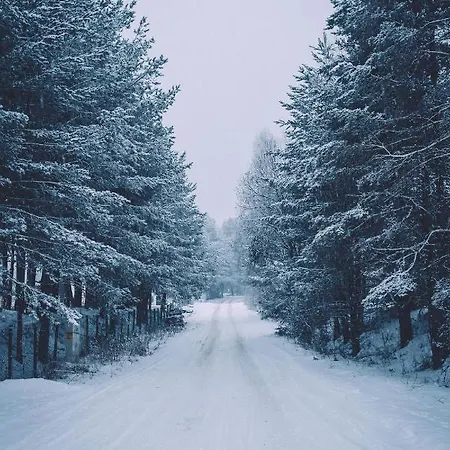 ヴィラ Dakota Forest Retreat ツィゴフ・チャルク